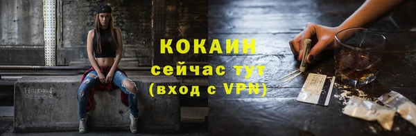 мет Пересвет
