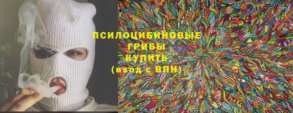 мет Пересвет