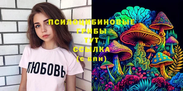 мет Пересвет