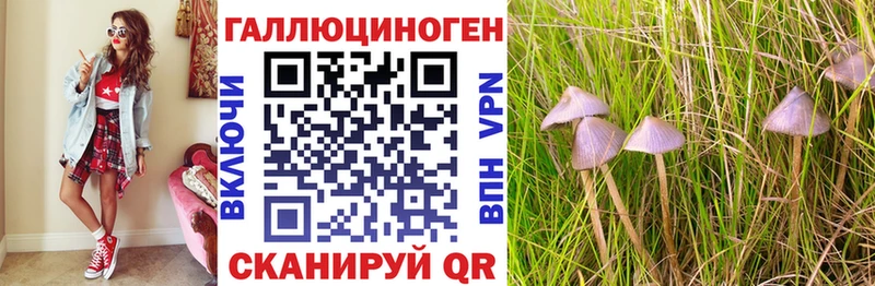 Псилоцибиновые грибы Cubensis  Купить где  Кола 